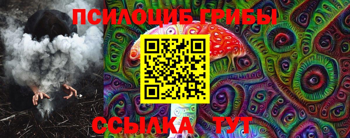 Псилоцибиновые грибы Psilocybe  Вход с VPN  купить  цена  Донецк 