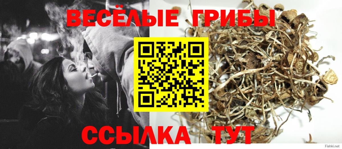 Галлюциногенные грибы мицелий Донецк